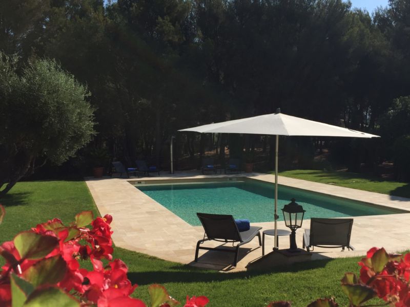 ... nestled in lush greenery ...