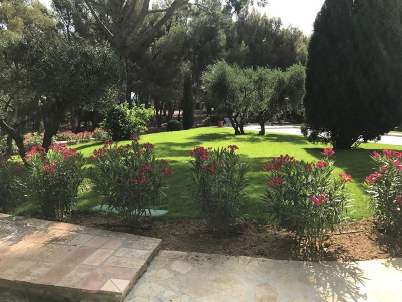 ... a blooming garden ...