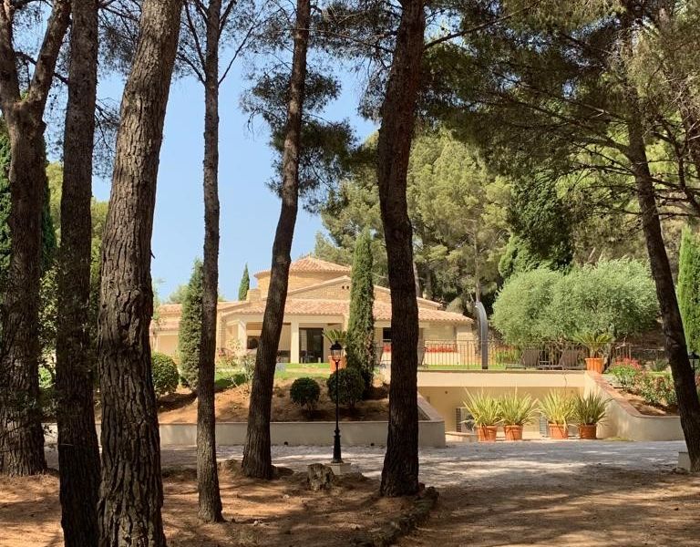 ... vue de la pinède ...